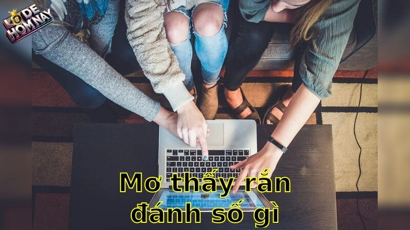 Mơ thấy rắn đánh số gì – Giải Mã Giấc Mơ Thần Bí Và Cơ Hội Trúng Lớn 2025